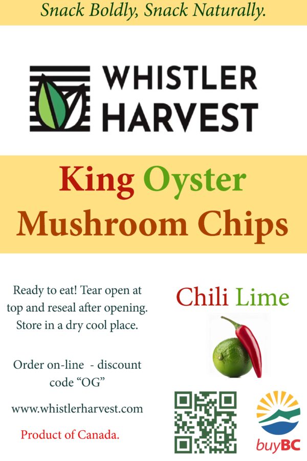 King Oyster Chili Lime 40g x 6